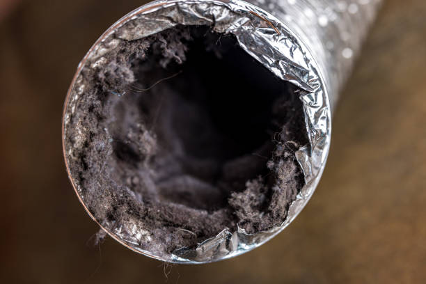 Best Affordable Duct Cleaning Services  in Elkins, WV