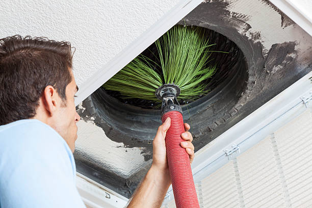 Best Professional Duct Cleaning Services  in Elkins, WV